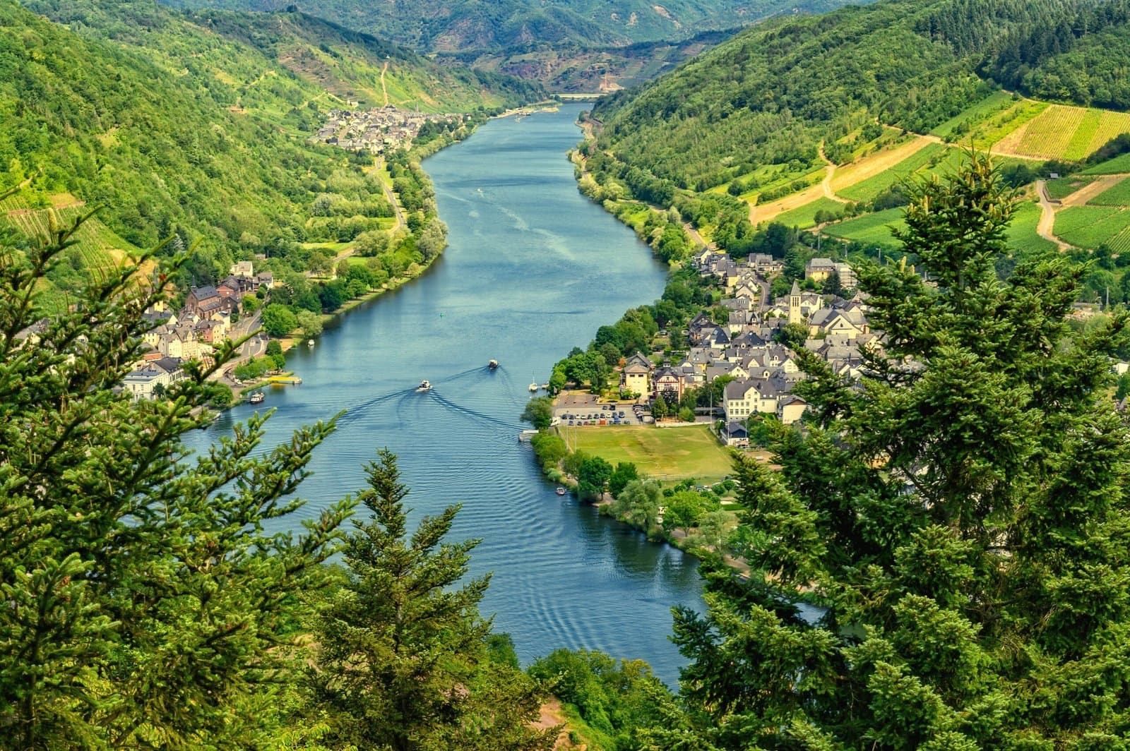 Rio com paisagem natural e vinhedos às margens